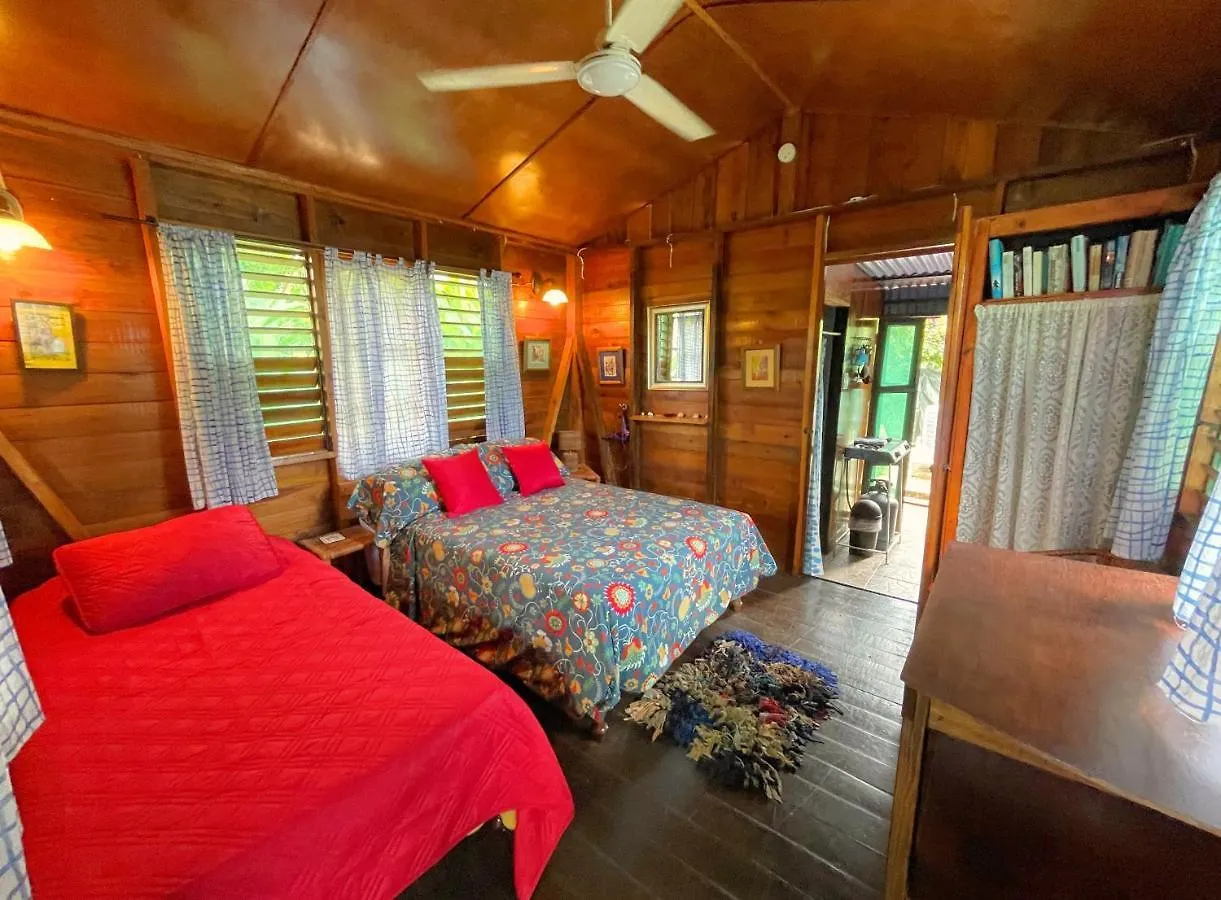 Hostel Judy House Cottages And Rooms
