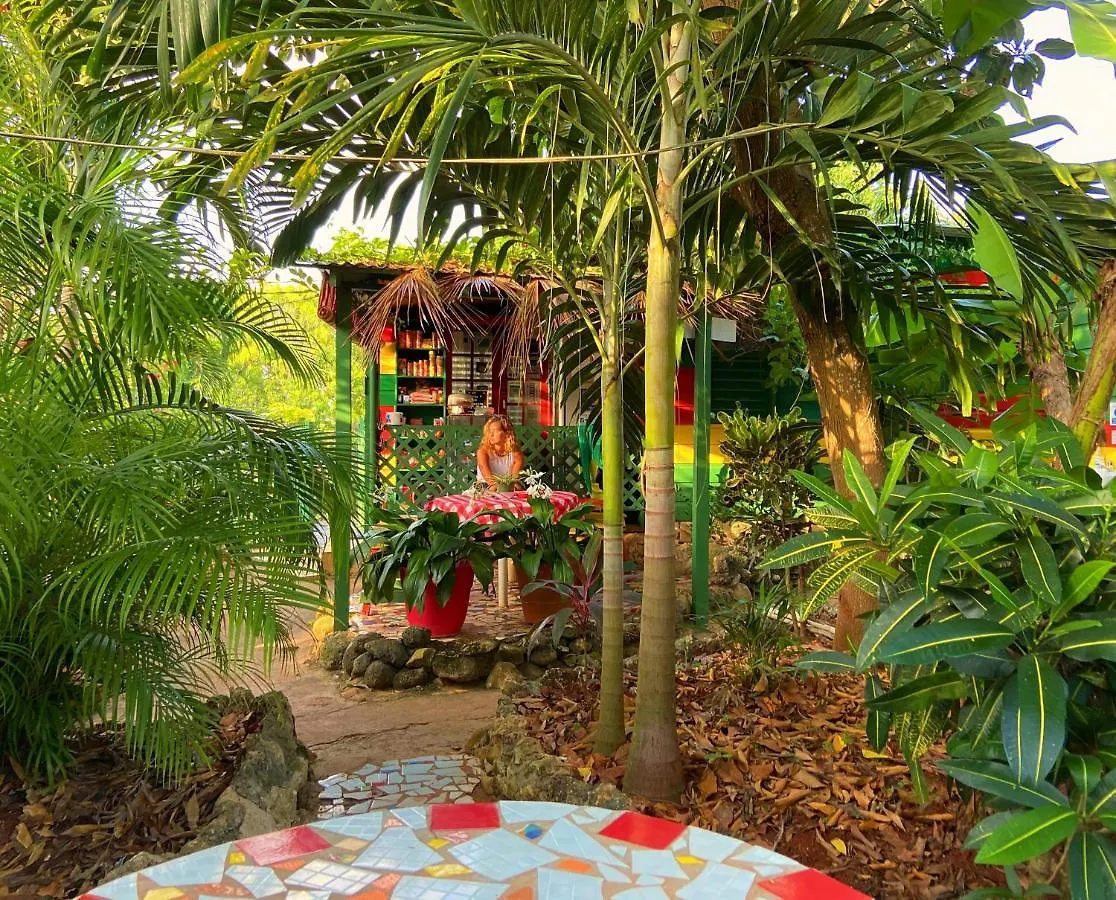 Hostel Judy House Cottages And Rooms Jamaica