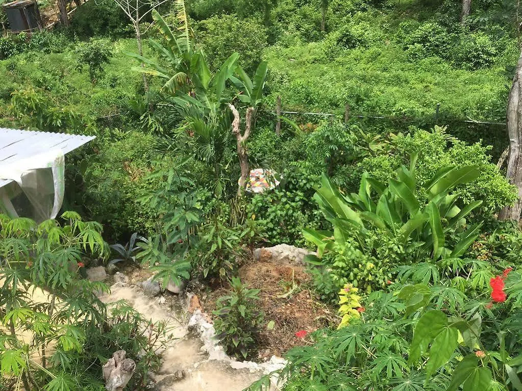 Judy House Cottages And Rooms Jamaica