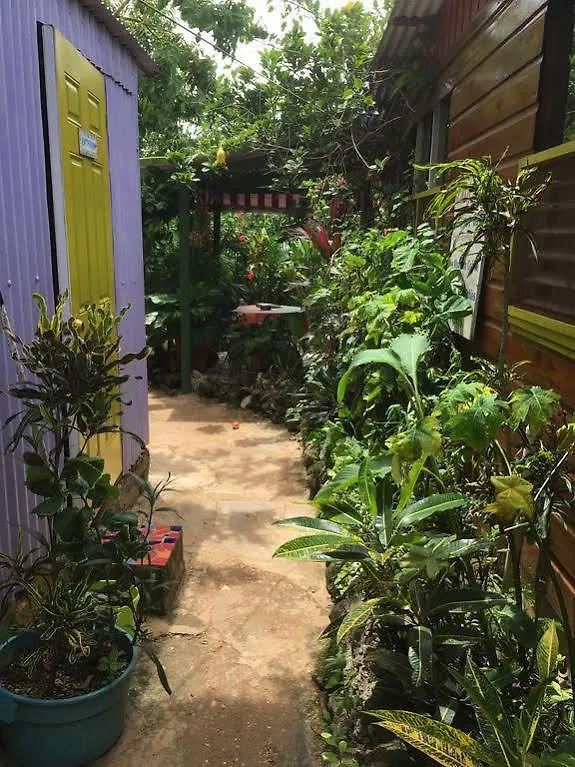 Hostel Judy House Cottages And Rooms