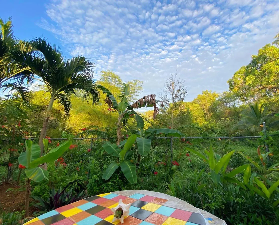 Judy House Cottages And Rooms Negril Auberge de jeunesse
