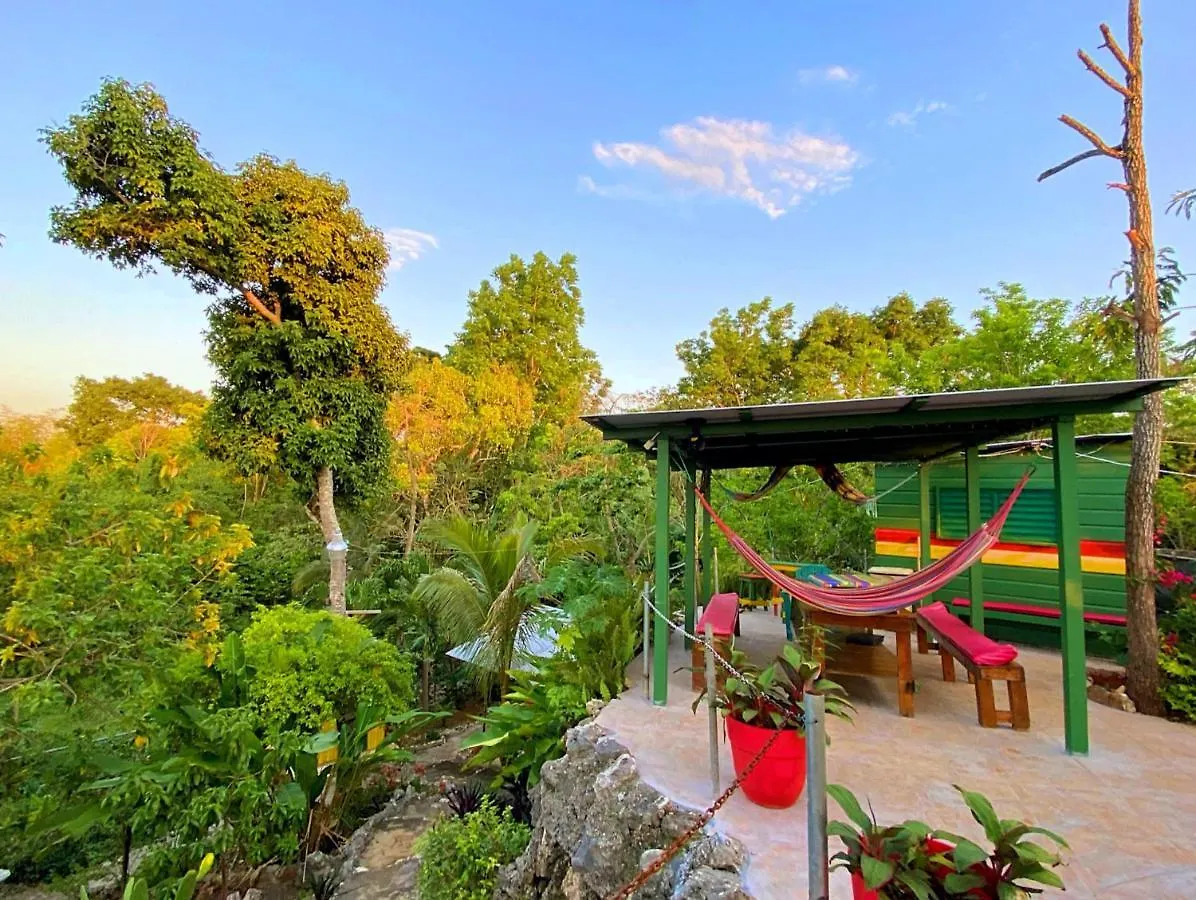 Judy House Cottages And Rooms Negril 0*,